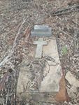 Mpumalanga, BARBERTON district, Glenthorpe, Glenthorpe 552, Plantation graves