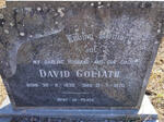 GOLIATH David 1930-1970