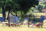 Limpopo, WATERBERG district, Modimolle, Donkerpoort 406, farm cemetery